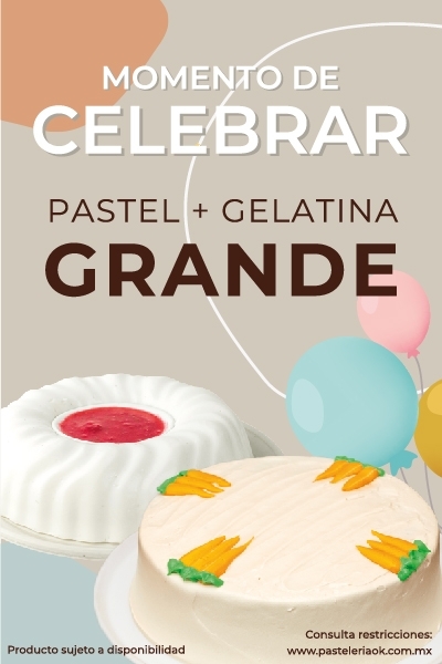 MOMENTO DE CELEBRAR - PASTEL GRANDE + GELATINA GRANDE A UN PRECIO ESPECIAL